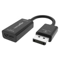 Amazon Basics DisplayPort Female Converter