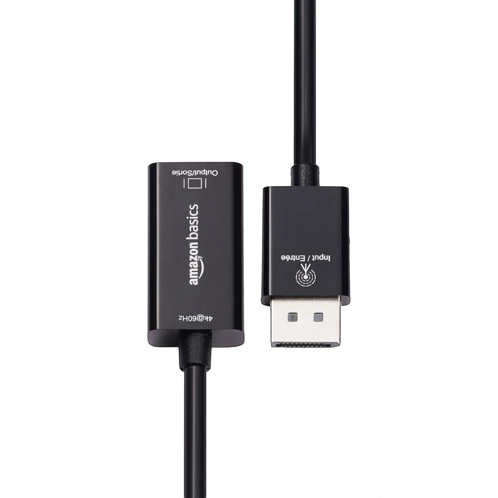 Amazon Basics DisplayPort Female Converter