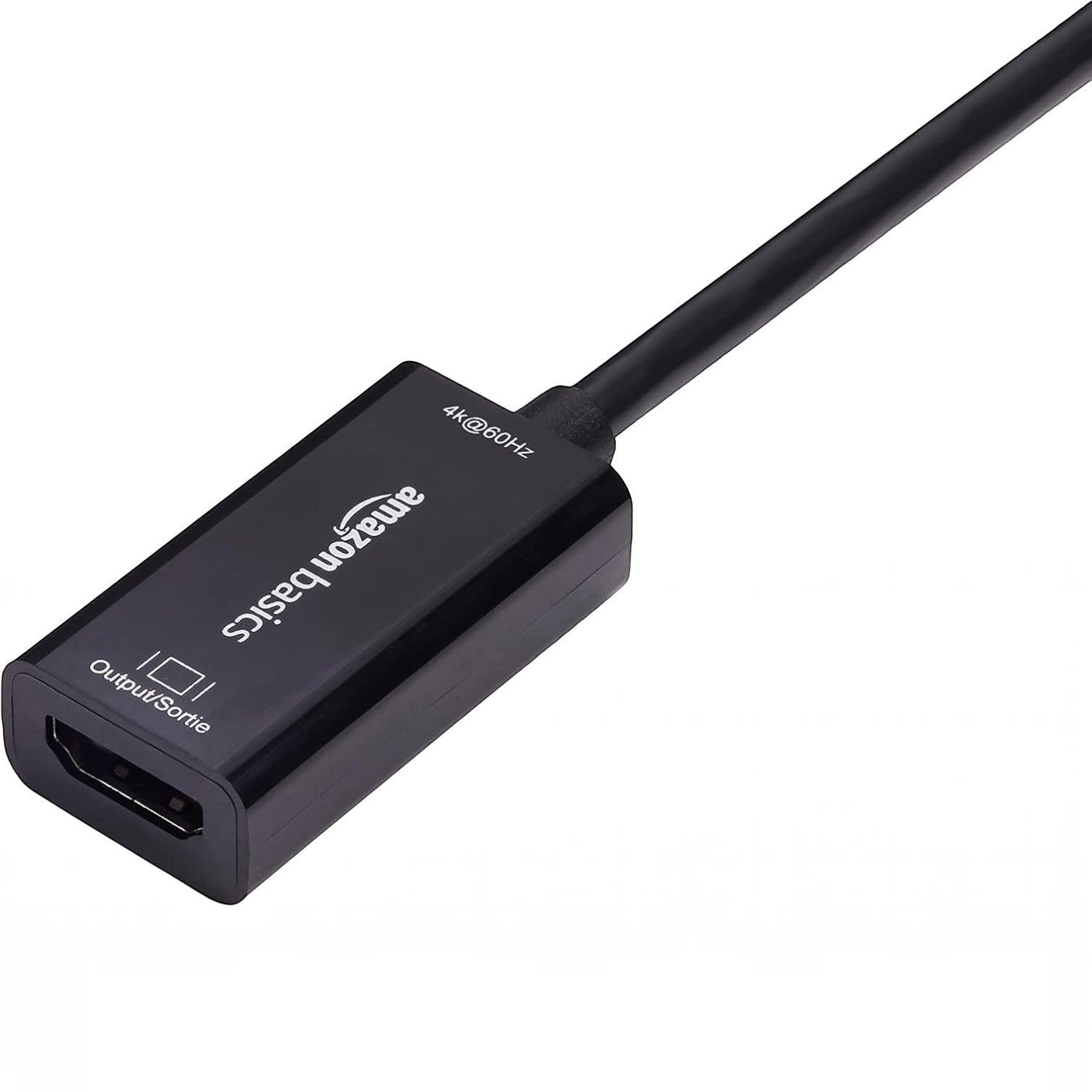 Amazon Basics DisplayPort Female Converter