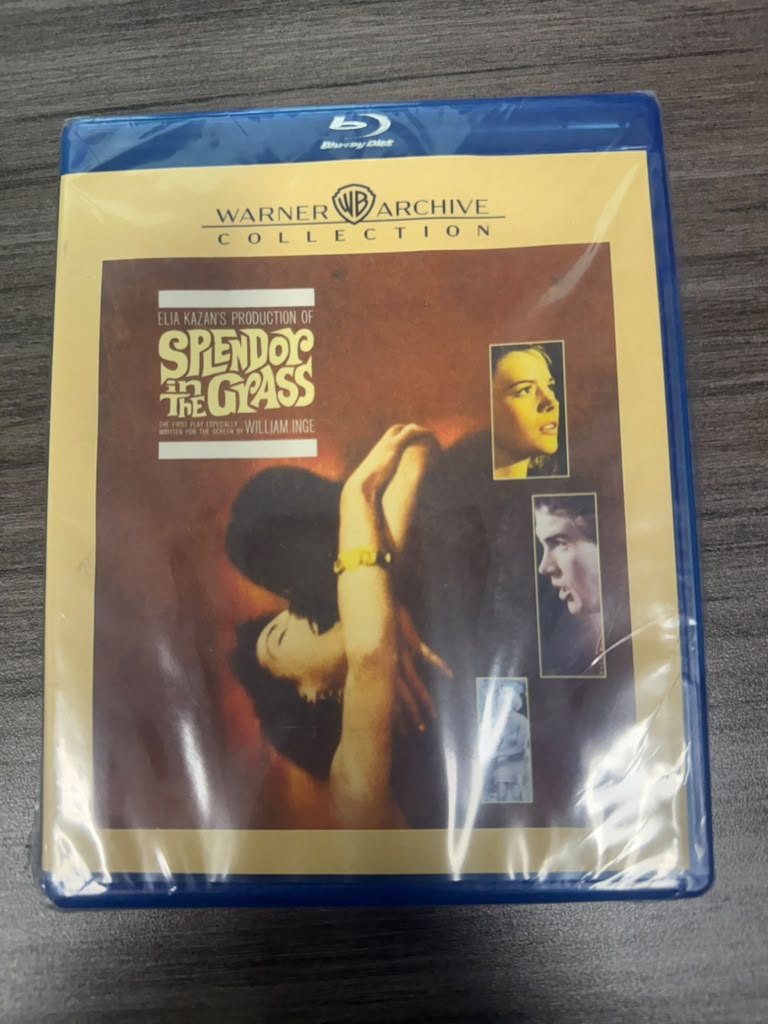 Splendor in the Grass (1961) - Warner Archive Collection Blu-ray - original inventory photo